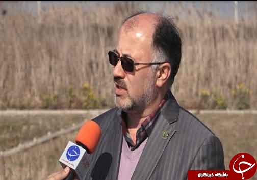 ماسه‌های شور ساحل خزر بارور شدند
