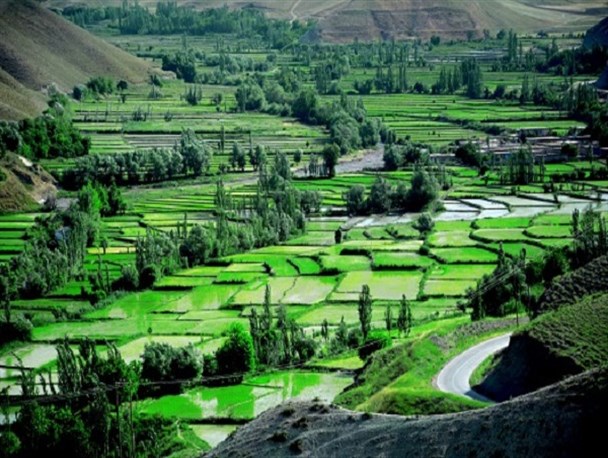 سفری به کلات نادري گنجينهاي در دل طبيعت/غذاهای محلی کلات را بهتر بشناسید سفری به کلات نادري گنجينهاي در دل طبيعت/غذاهای محلی کلات را بهتر بشناسید