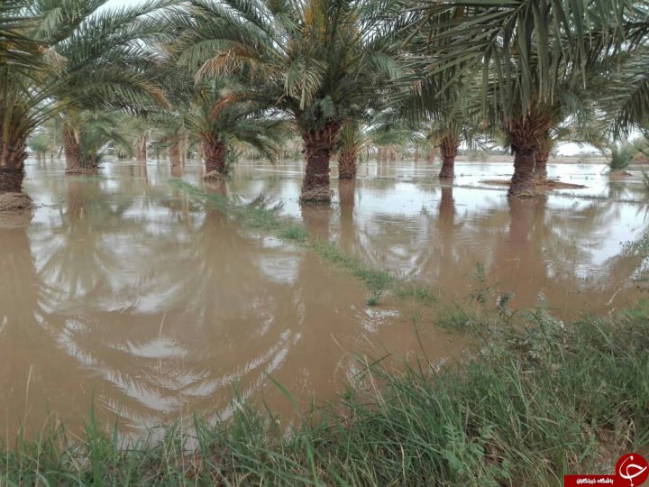 سیل، بار دیگر به شهداد آمد