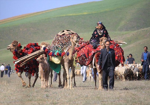 زندگی از نوع معیشتی متفاوت