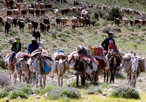 زندگی از نوع معیشتی متفاوت