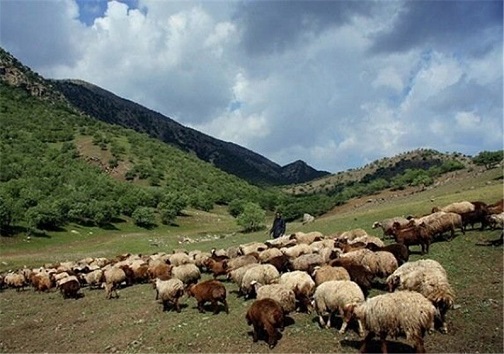 زندگی از نوع معیشتی متفاوت