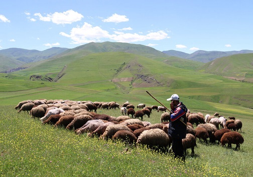 آوار آسیبهای تخریبی بر مراتع اصفهان