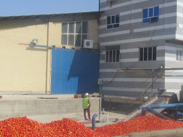 خط تولید بسته بندی رب گوجه فرنگی در جنوب کرمان