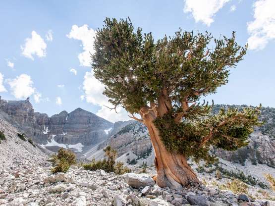۱۴ عکس از بیابان‌های زیبا در سراسر جهان