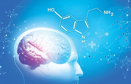 سروتونین چیست و خوراکی‌های منبع سروتونین کدامند؟