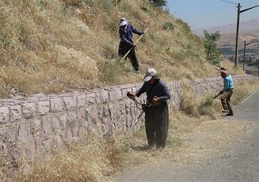 علف زنی پارک جنگلی آبیدرسنندج به روایت تصویر