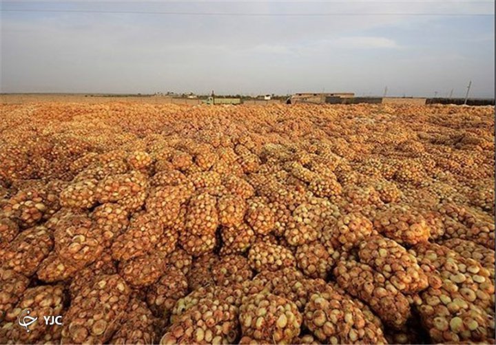 بذر، معدن طلای دلالان در جنوب کرمان