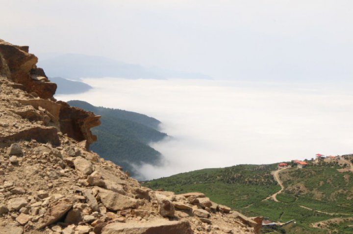 جنگل خواری معضلی که بر جان طبیعت افتاده است