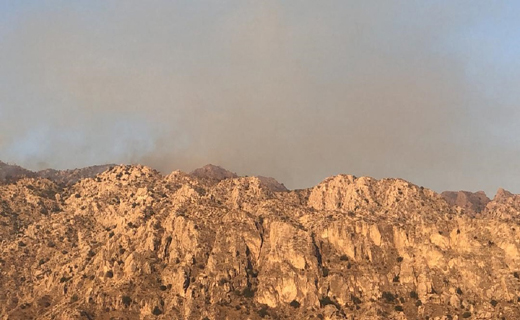 آتش‌سوزی در ارتفاعات بوشکان دشتستان تحت کنترل است