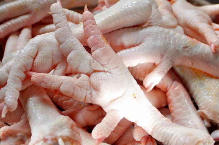 فواید پای مرغ فواید پای مرغ