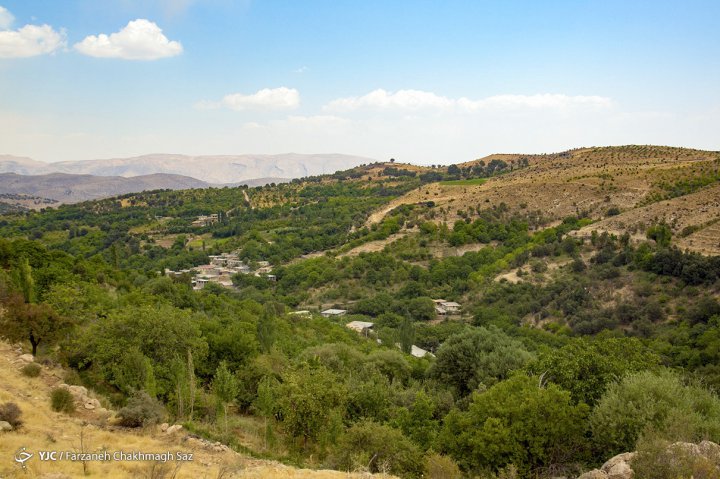 شهرستان تویسرکان مهد طلای سبز ایران