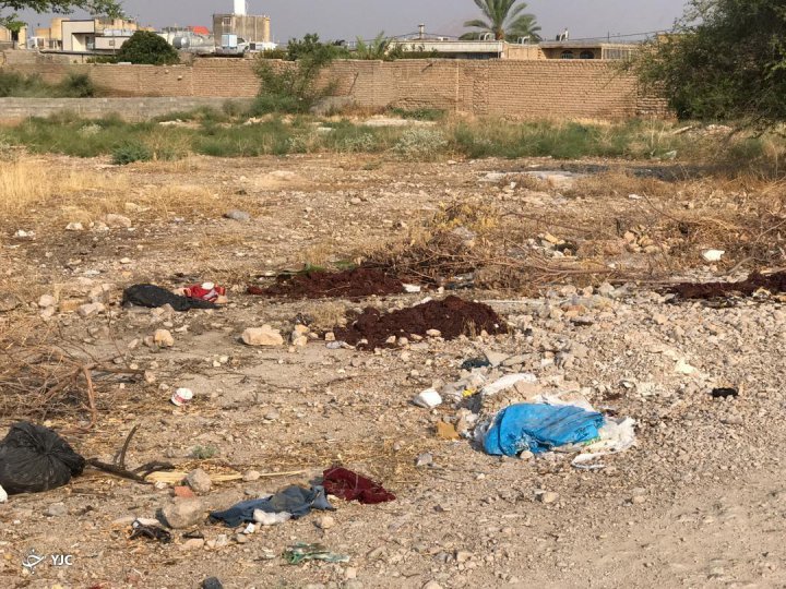 رها سازی زباله‌ها در سطح شهر عامل ایجاد بیماری‌های خطرناک برای شهروندان
