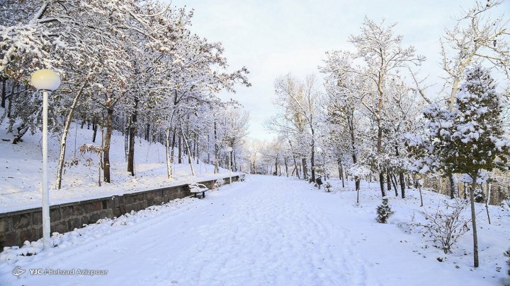 جاده های برفی