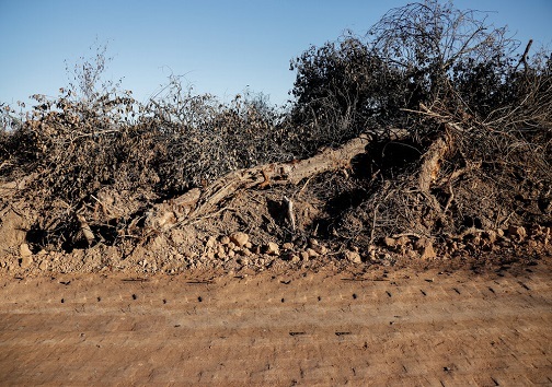 ساخت سیل بند در منطقه حفاظت شده کرخه