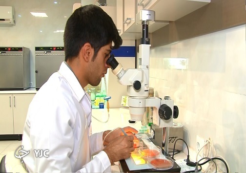 اصلاح نژاد دامی با فناوری&zwnj;های نوین