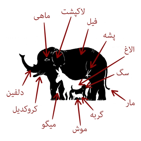 مغز خود را با این ۵ معما به چالش بکشید! + پاسخنامه