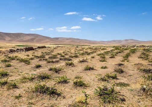 رنج بی‌آبی مزارع شرق اصفهان و سالها امید به زاینده‌رود خشک