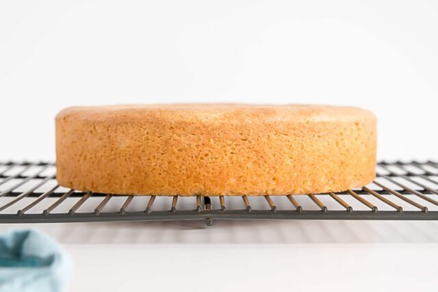 طرز تهیه چیزکیک زنجبیلی با پایه کیک در فر + فوت و فن ها