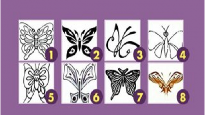 یک پروانه انتخاب کنید و خود را بیشتر بشناسید