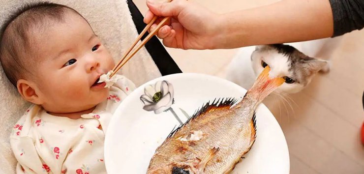 به چه علت به کودک باید ماهی بدهیم؟