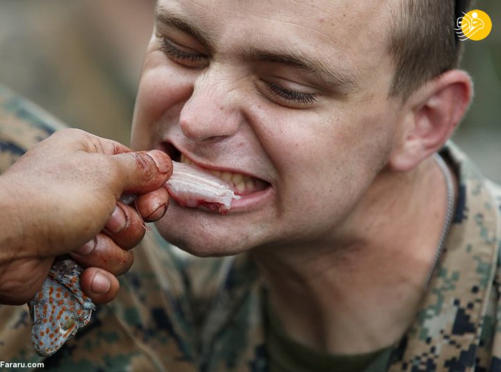 (تصاویر) خوردن خون کبرا، عقرب و رتیل توسط سربازان آمریکایی