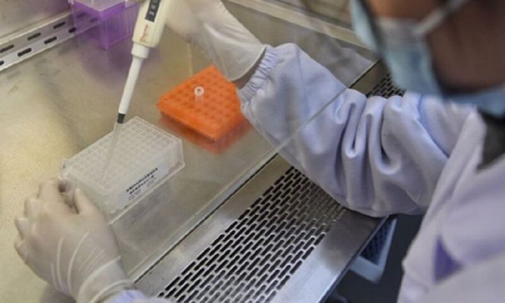 دانشمندان چینی دو نوع ویروس کرونا کشف کردند