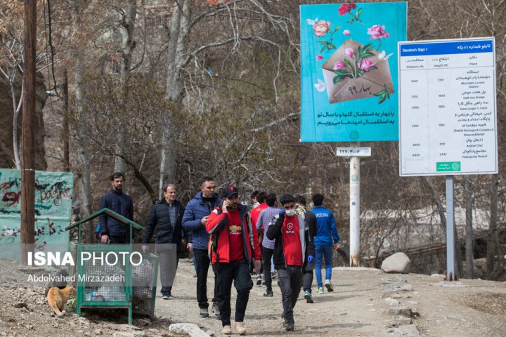 (تصاویر) کرونا، دربند، درکه