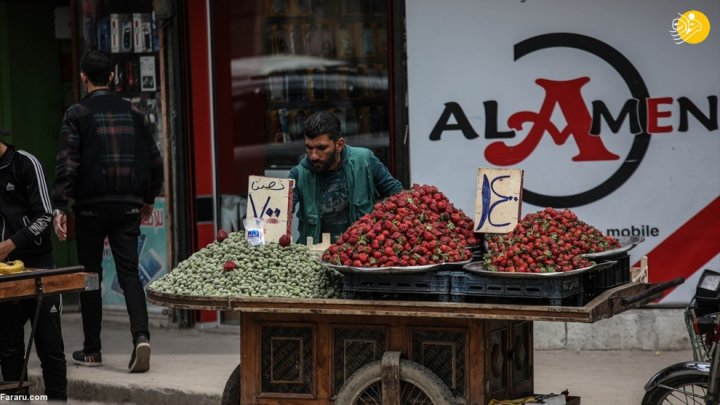 تصاویر باورنکردنی از ادلب؛ بازگشت زندگی