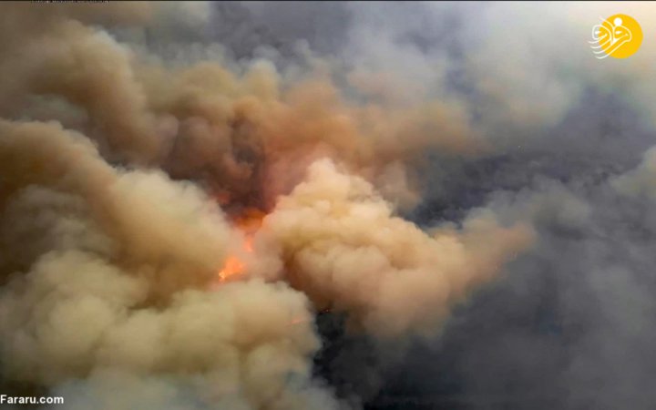 تصاویر هولناک از آتش‌سوزی در جنگل‌های اطراف چرنوبیل