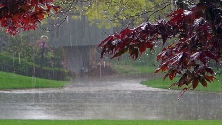 هواشناسی: بارش باران در بیشتر مناطق کشور. کاهش ۵ تا ۷ درجه‌ای دما