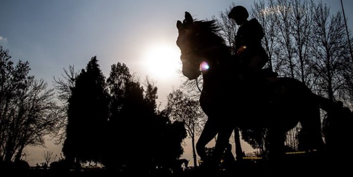 (عکس) اهدای زین اسب ایرانی با قدمت ١٢٠ ساله به اولین موزه اسب آسیا