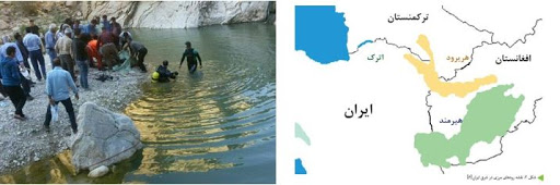 افشاگری رسانه افغان از حادثه تلخ مهاجران در مرز ایران