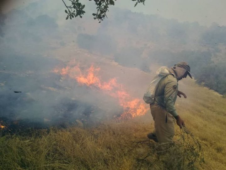 (عکس) واکنش فوتبالی‌ها به آتش‌سوزی جنگل‌های زاگرس