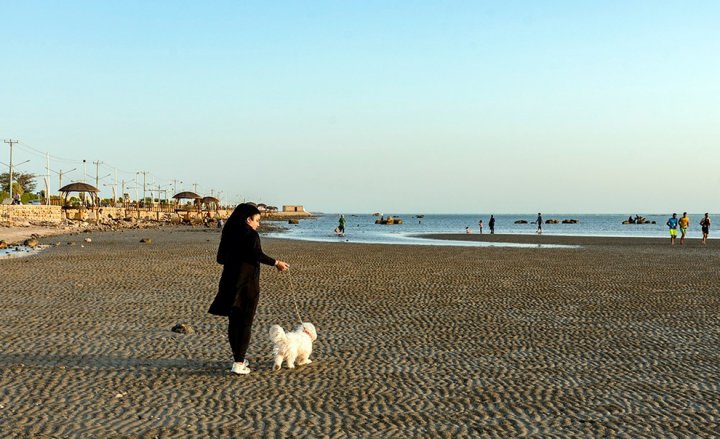 (تصاویر) خوشگذرانی در ساحل مازندران و بوشهر