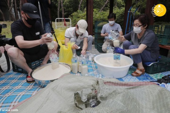 (تصاویر) ارسال بطری‌های برنج از طریق امواج دریا به کره شمالی