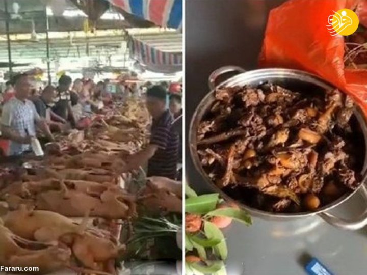 (ویدئو)