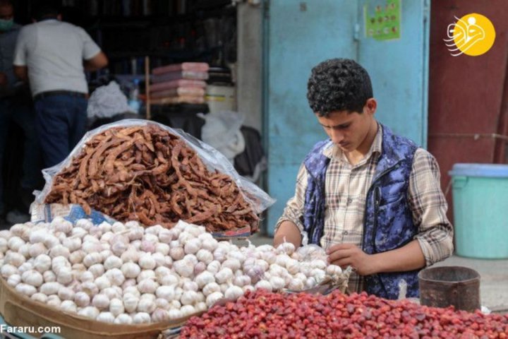 (تصاویر) داروهای گیاهی سپر یمنی‌ها برای جنگ با کرونا