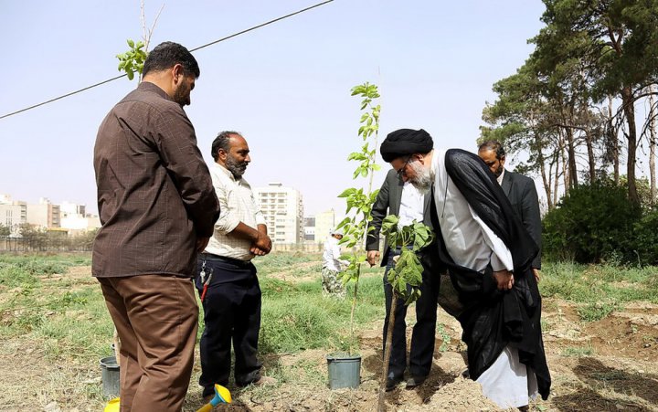 (تصاویر) درختکاری در محوطه سوخته جامعه الزهرا