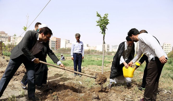 (تصاویر) درختکاری در محوطه سوخته جامعه الزهرا