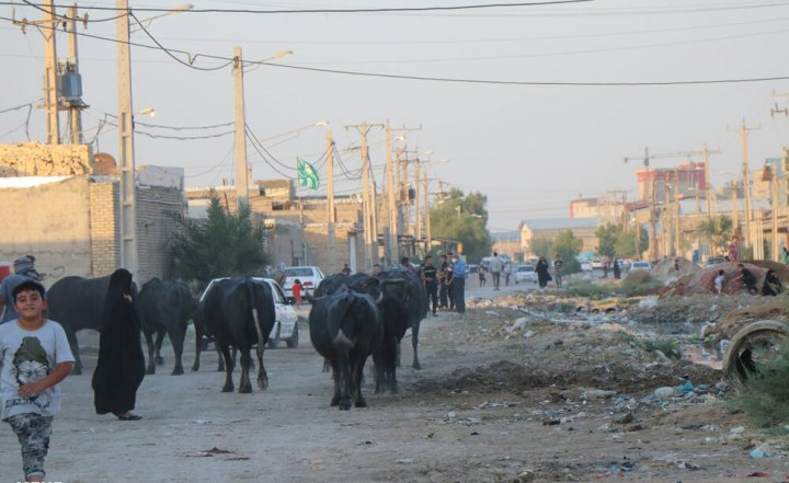 (تصاویر) بازی کودکان اهوازی در برکه‌های فاضلاب