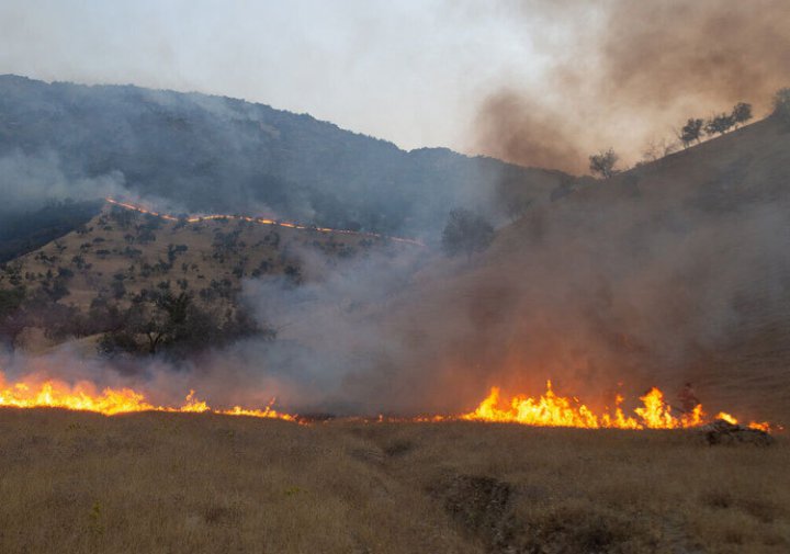 آتش به جان جنگل‌های ارسباران افتاد