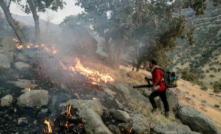 (تصاویر) آتش در ارتفاعات گلگون و هرایرز ممسنی