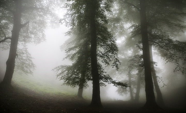 (تصاویر) پنجمین روز عملیات جستجو برای یافتن دختر گمشده