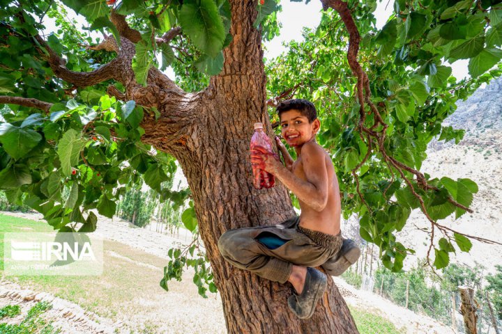 (تصاویر) به وقت کودکی در روستا