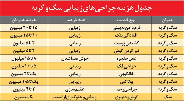 حیوان آزاری به شیوه مدرن؛ انجام عمل زیبایی برای حیوانات خانگی