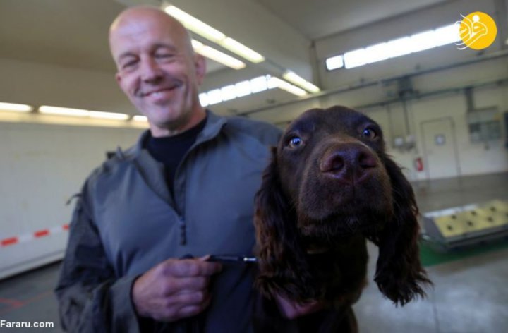 (تصاویر) آموزش سگ‌های کرونایاب در ارتش آلمان