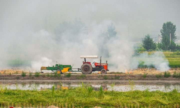 (تصاویر) آتش زدن زمین‌های کشاورزی