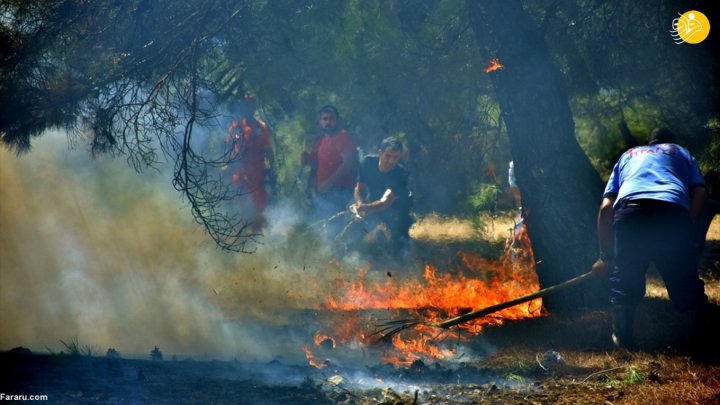 (تصاویر) آتش سوزی گسترده در جنگل‌های ترکیه