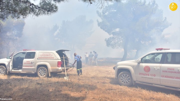 (تصاویر) آتش سوزی گسترده در جنگلهای ترکیه